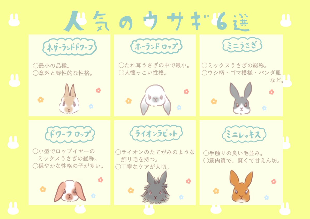 こんにちは、でじるみ沼津ですっ☆ 本日はおとさんが「人気のうさぎ6選