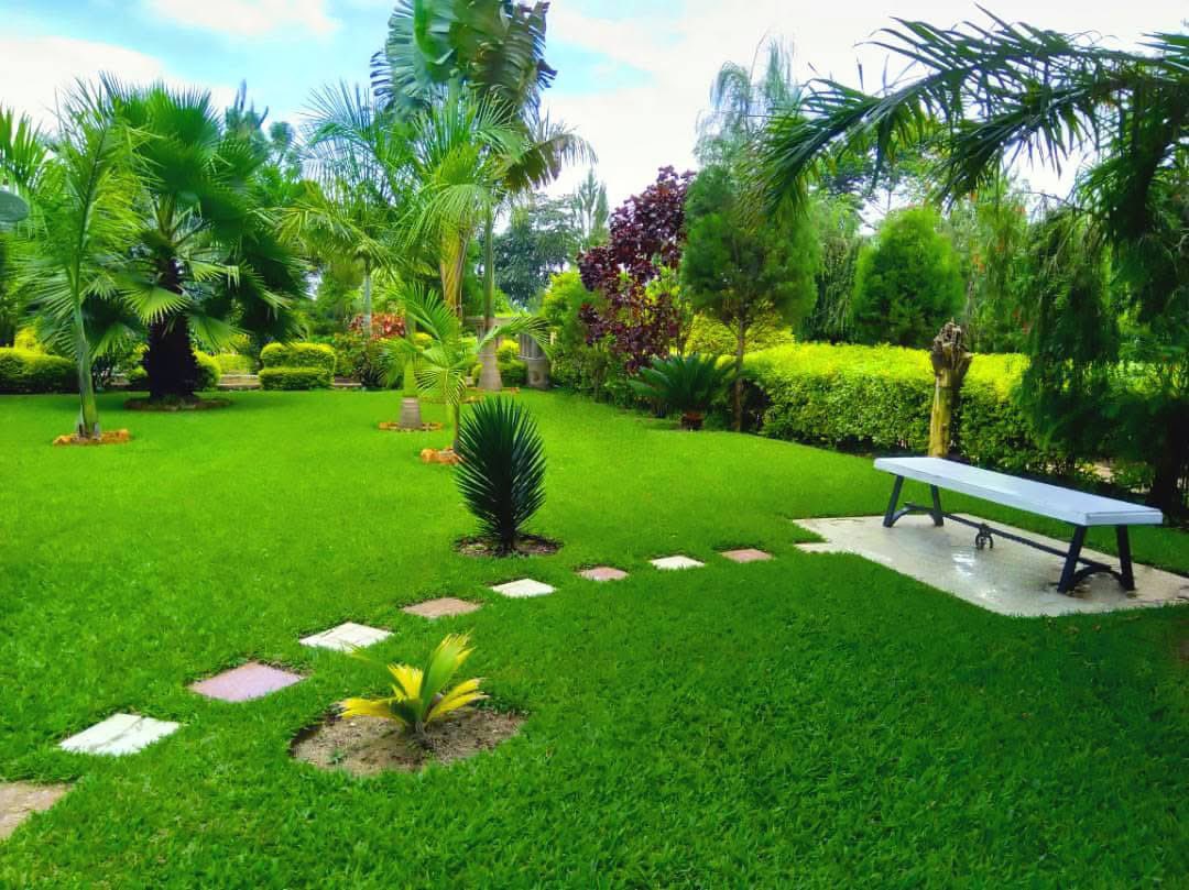 JustinNkumbarhi's tweet image. 🔵 #RDC #Tourisme : Kashusha (territoire de Kabare, Sud-Kivu) est une localité verdoyante située près de #Bukavu et de l’aéroport de #Kavumu. 

Connue pour son calme et son climat agréable, elle séduit par le jardin aménagé par l’ingénieur agronome Bigi Kashusha, fruit de 14 ans