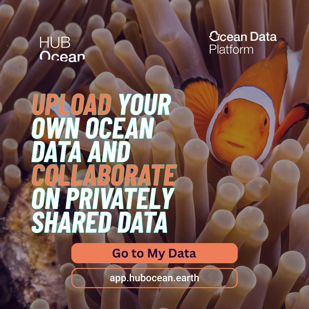 HUB Ocean tweet media