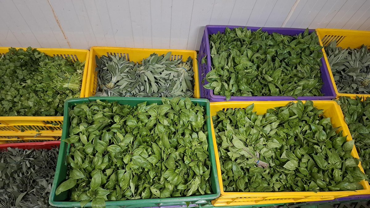 SokoFresh™ tweet media