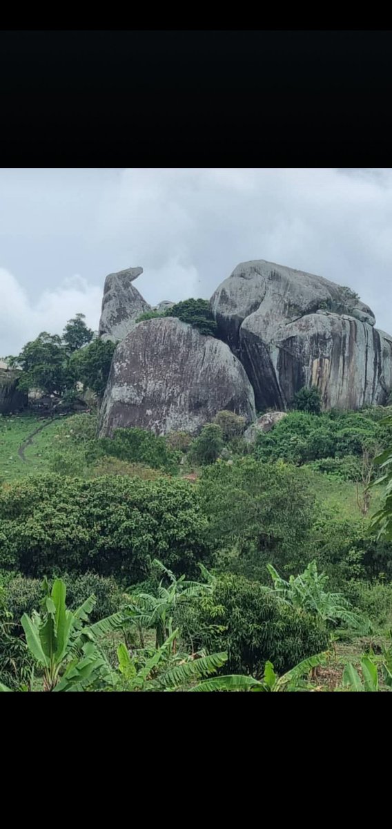 KarongoNoowe's tweet photo. @mkainerugaba The last time we had bachwezi here in our Mugore rocks, they would take people at night especially the wrong-doers and make them walk hundreds of kilometers and resurface them in another district. May they take all the corrupt officials this time forever 🤲🙏 https://t.co/9xRCkVnKTo