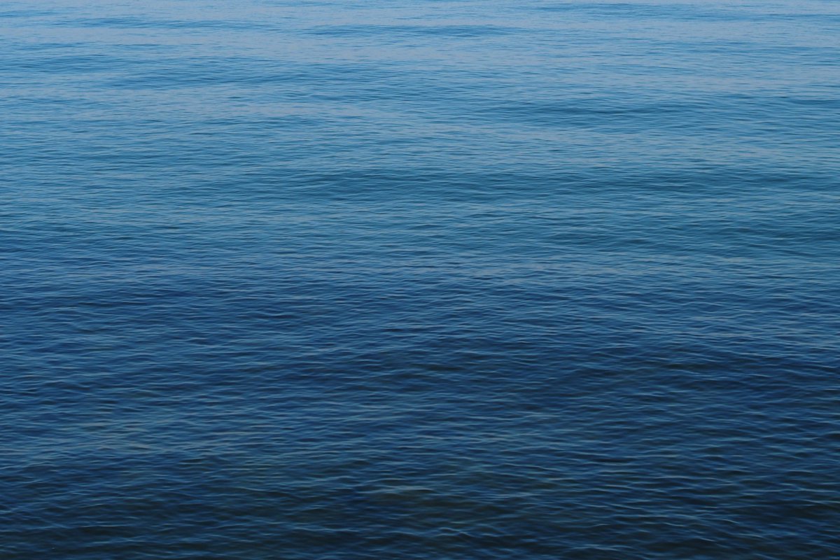 ひとしお (@hitoshio_shio) on Twitter photo 