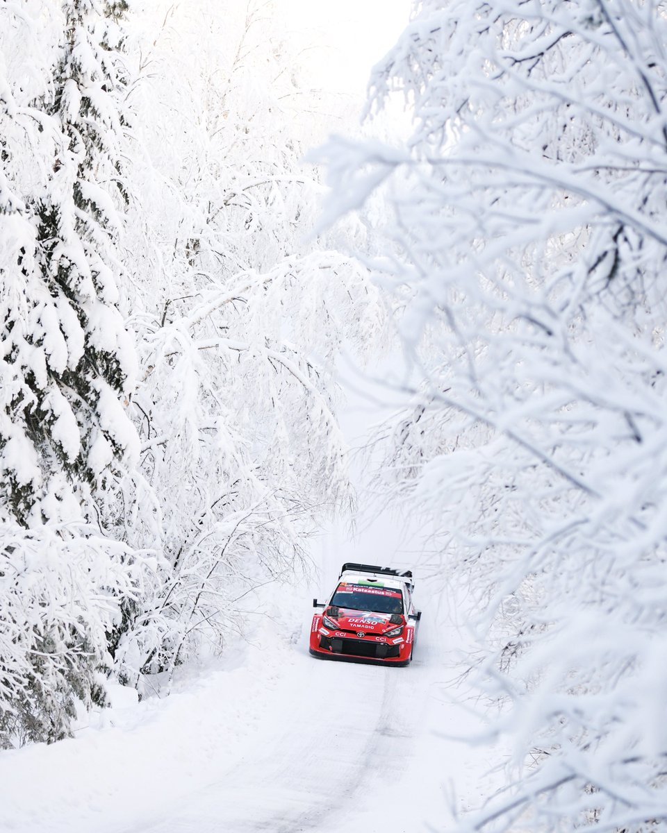 TGR_WRC's tweet image. Ready for a winter warm-up at the Arctic Lapland Rally 🎅😍

#ToyotaGAZOORacing #GRYaris #ArcticRally