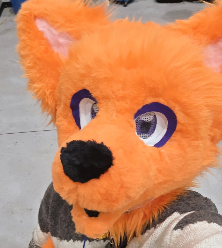 tella_Castella_'s tweet image. #퍼리_트친소 #수인러_트친소 
하숲 이후 트친소 열풍에 뒤늦게 탑승해요..!
오너캐(주황개) 퍼슈트가 있지만 데뷔랄까 하는 건 아니고 원랜 그림 그리는 사람입니다!
교류도 좋고 맞구독 느낌도 좋아용 흔적 남겨주시면 마음 맞을 것 같은 분들 무멘팔로 찾아뵙겠습니다! 알티 감사합니다!!