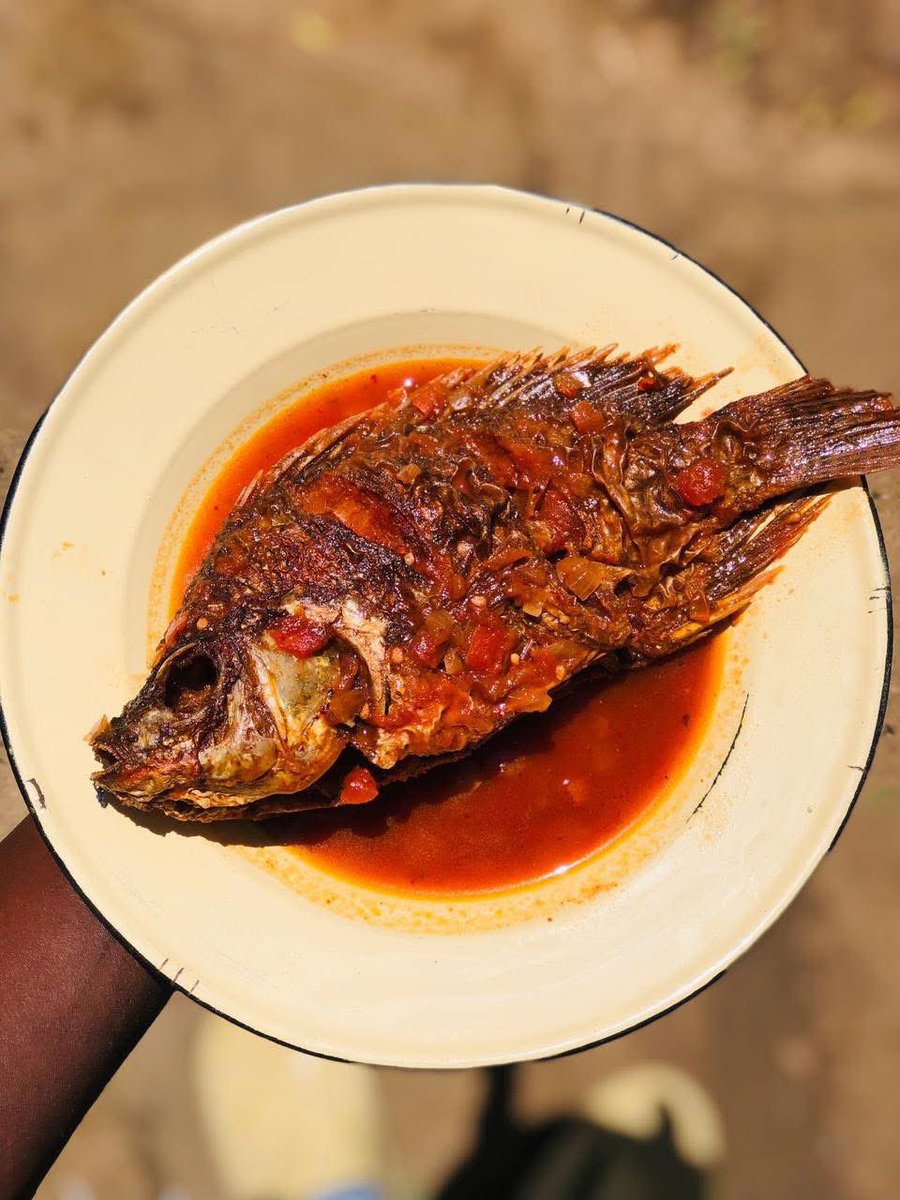 manenzhe_samuel's tweet image. Good morning…..It’s Friday  

Famous caravan 10h00-18h00
Midrand 11h00-18h00
Sunnyside 11h00-18h00

For delivery 🚚 or scooter 🛵 watsup Sam 076 317 0842