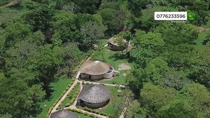 Nimusiima Lucent tweet media