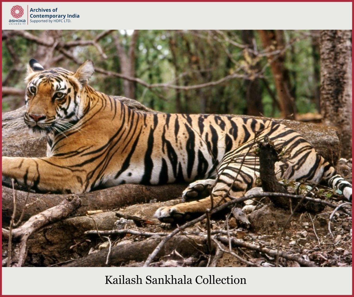 Archives of Contemporary India tweet media