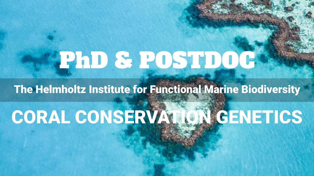 The Coral Reef Research Hub tweet media