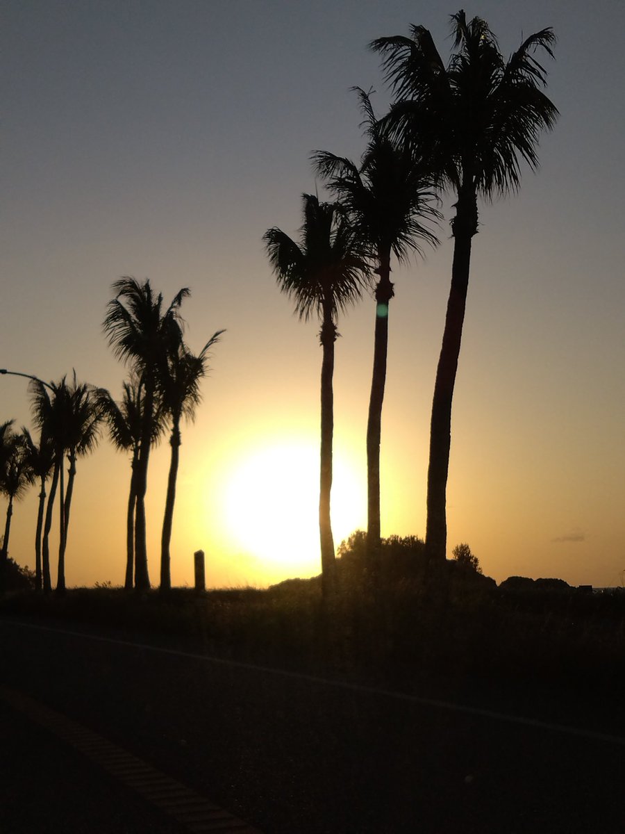 m72ki_'s tweet photo. 渋滞に巻き込まれて夕日チャレンジは車の中からだったけどめっちゃ綺麗やった！！ https://t.co/ak6qaDdbIT