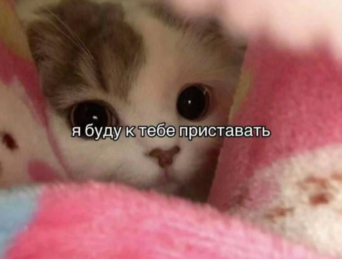 _Martisa_'s tweet image. давай