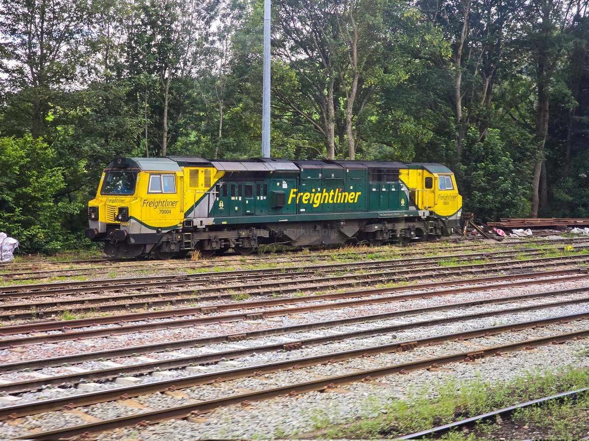 Havent posted in a while. Need to fix that... how about a sleeping 70 seen in Earles Sidings on the hope valley, 70004 "The Coal Industry Society" taken while passing on a train.