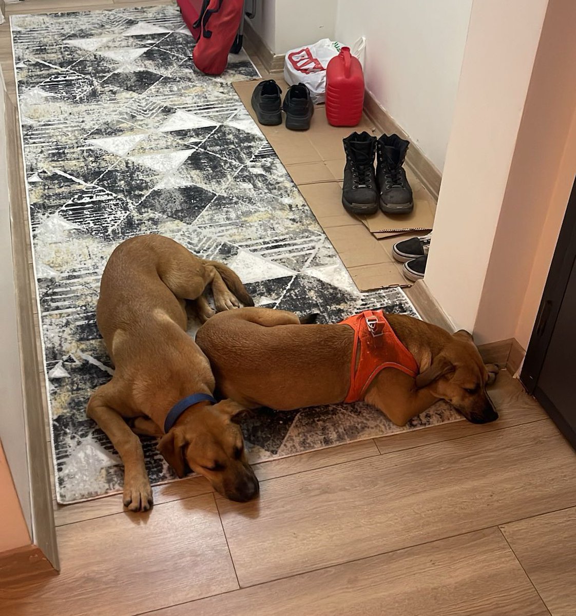 Geceyi evde geçirmişler.