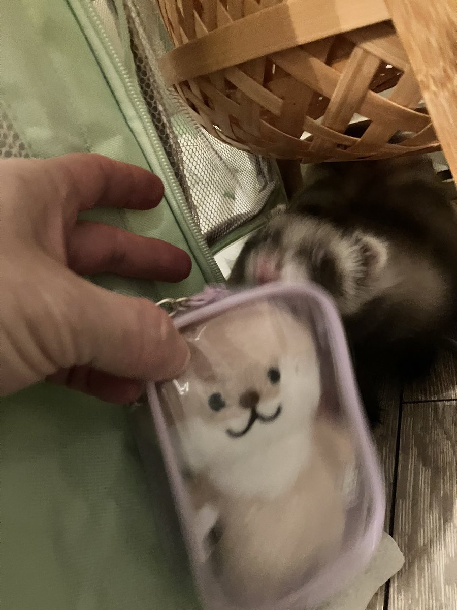 ｼﾞｬﾝｸﾏｰﾄ🦦12/10〜ROUND1ﾌﾟﾗｲｽﾞ化✨ (@JUNKMARTxxxMIYA) / Posts / X