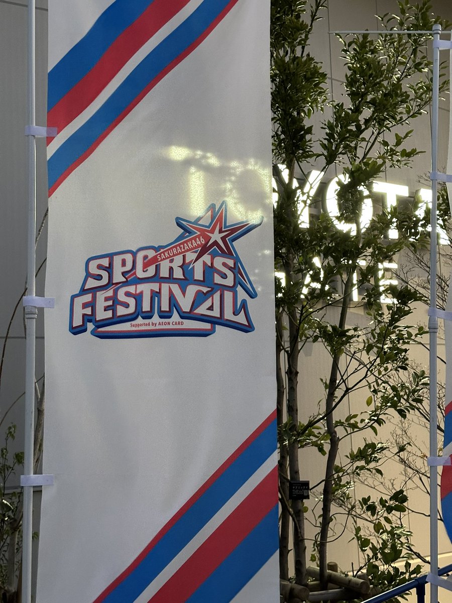 ほねぼーん tweet media