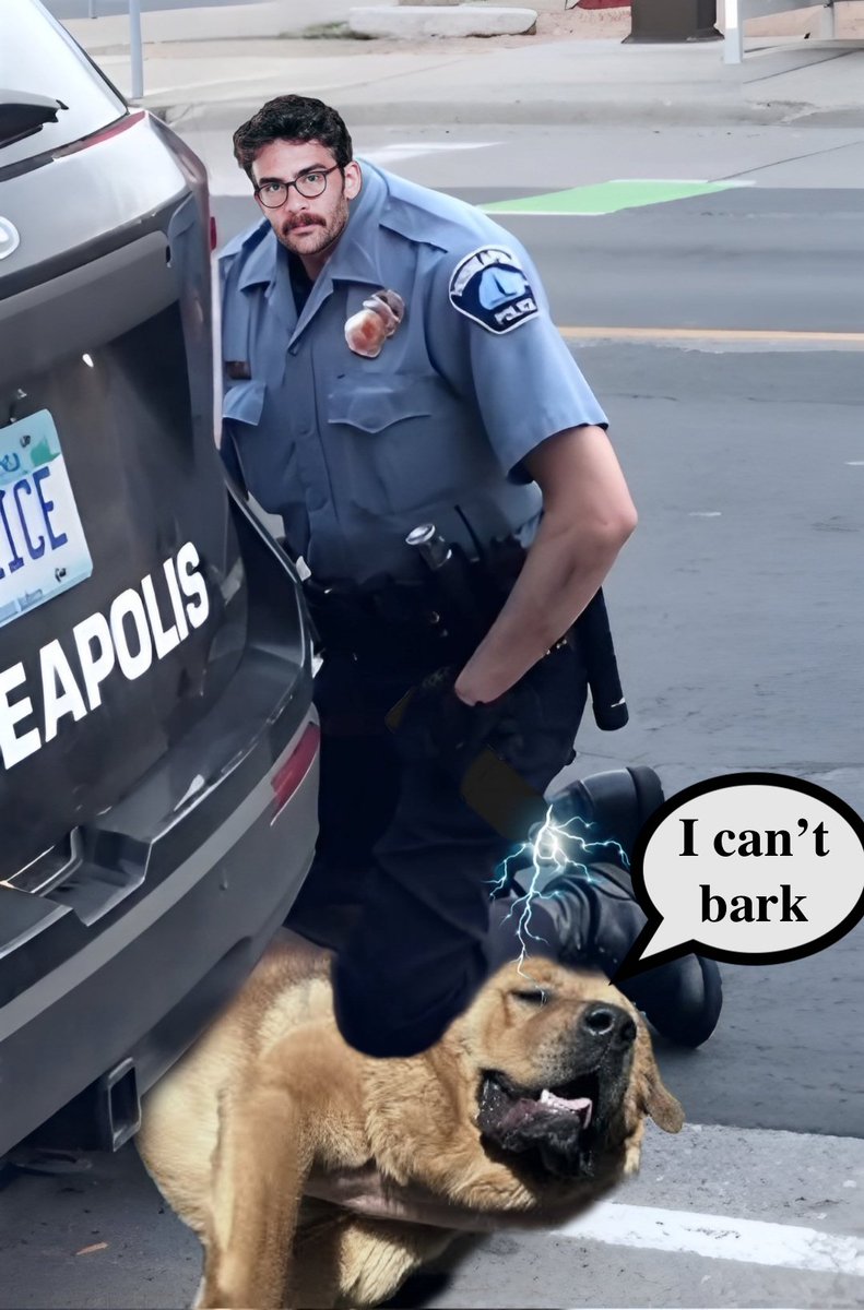 AviBittMD's tweet image. 