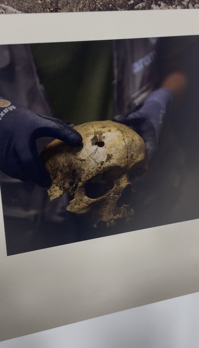 📍 Una brecha en el silencio

➡️ La Asociación Comisión de la Verdad de San Sebastián de los Reyes <a href="/ACVSSR/">Comisión de la Verdad Sanse</a> trae a la sede del <a href="/psoe_m/">PSOE Madrid</a> una exposición sobre las exhumaciones en Colmenar Viejo

🕊️ Memoria, verdad y dignidad

✅Porque recordar es justicia

#unabrechaenelsilencio