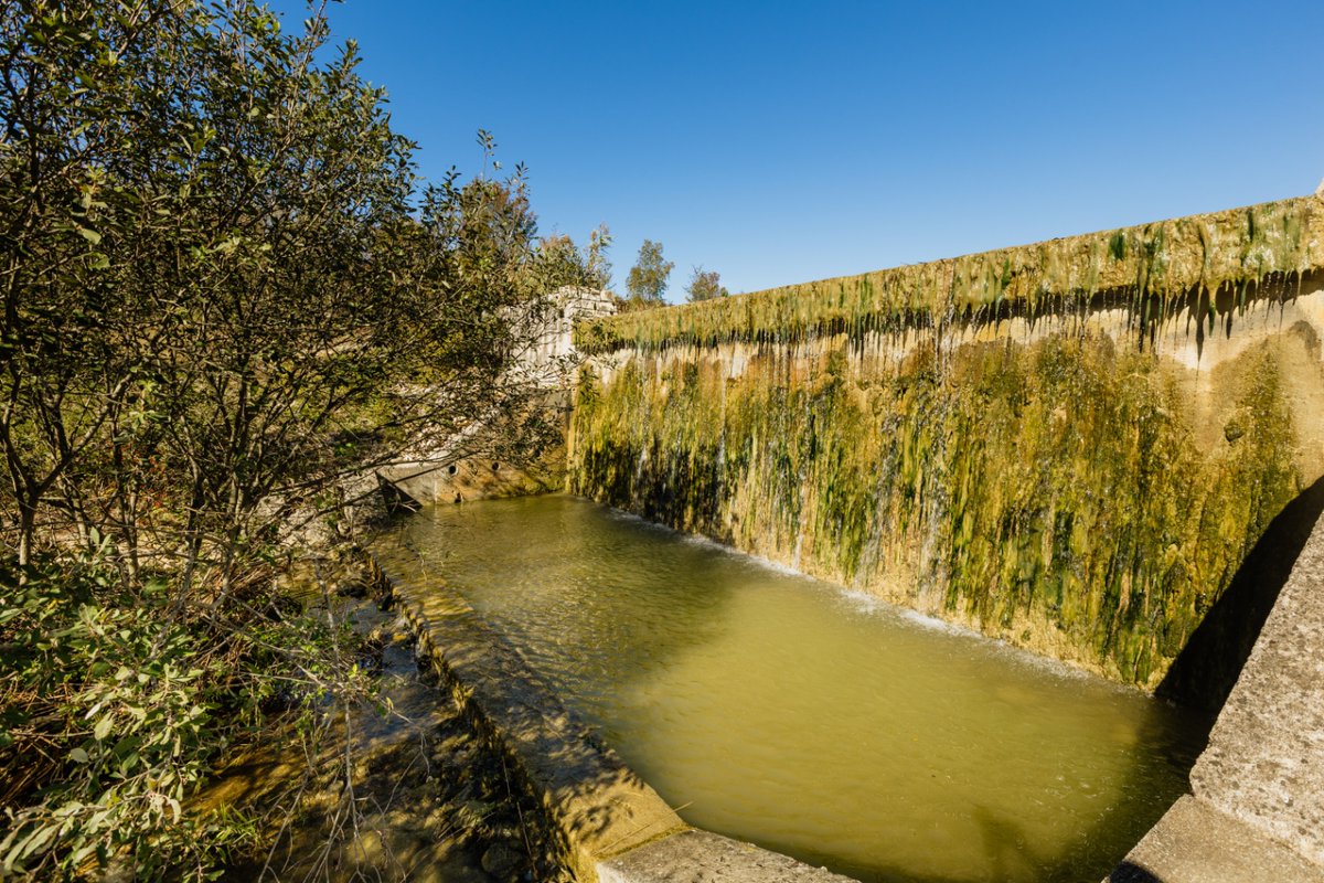 Colours of Istria tweet media