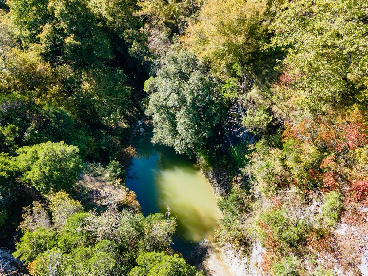 Colours of Istria tweet media