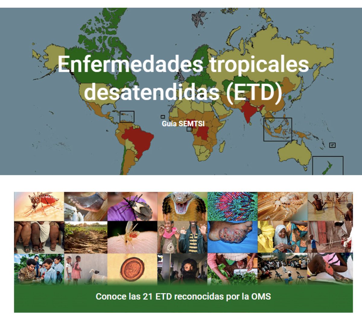 Es #DíaMundialETD #WorldNTDDay 
Más de 1.500 millones de personas viven amenazadas por el riesgo de sufrir enfermedades tropicales desatendidas #ETD, porque viven en comunidades pobres, remotas o marginadas.
Puedes consultar y descargar información sobre estas enfermedades, casos