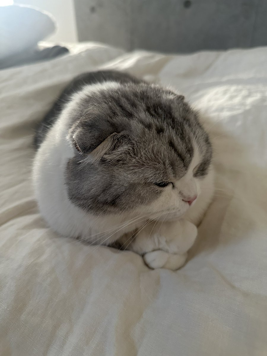 考え中？🤔