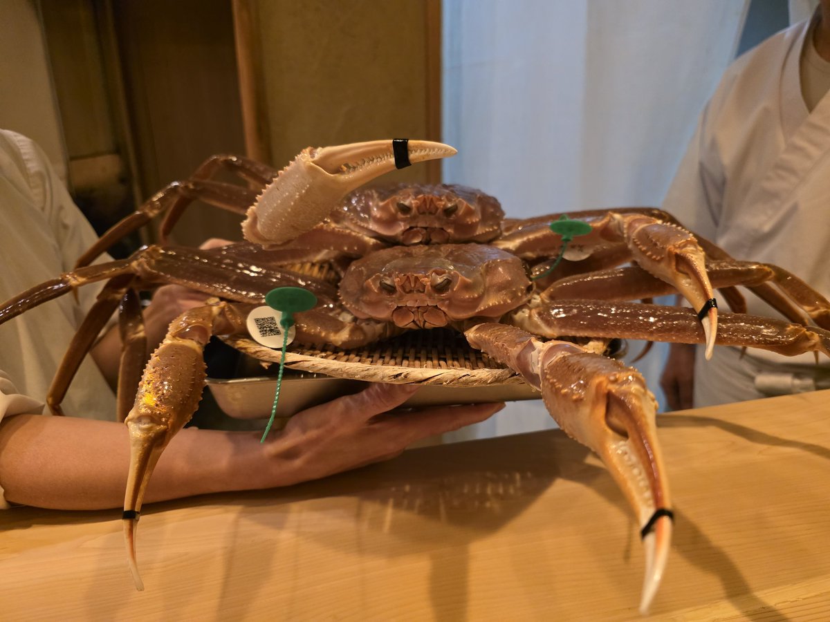 与沢 翼 YOZAWA TSUBASA (@tsubasa_yozawa) / Posts / X