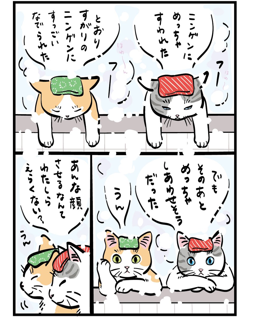mojugiso's tweet image. ねこ様
いつもありがとうございます

#ねこゆ　#猫湯