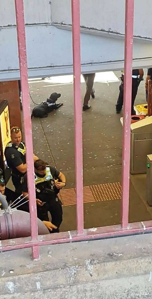 Sniff Off tweet media