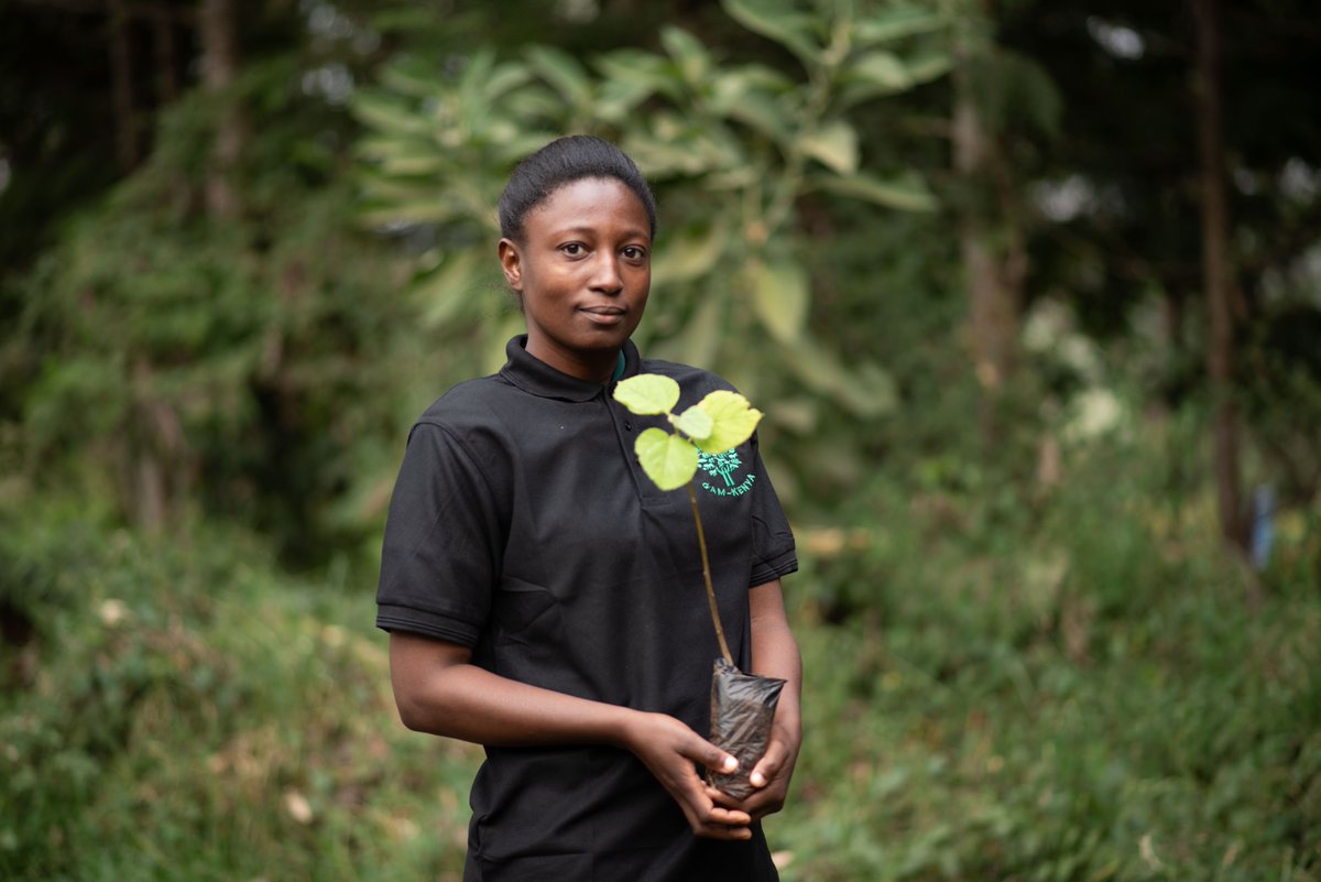 Anglican Church of Kenya tweet media