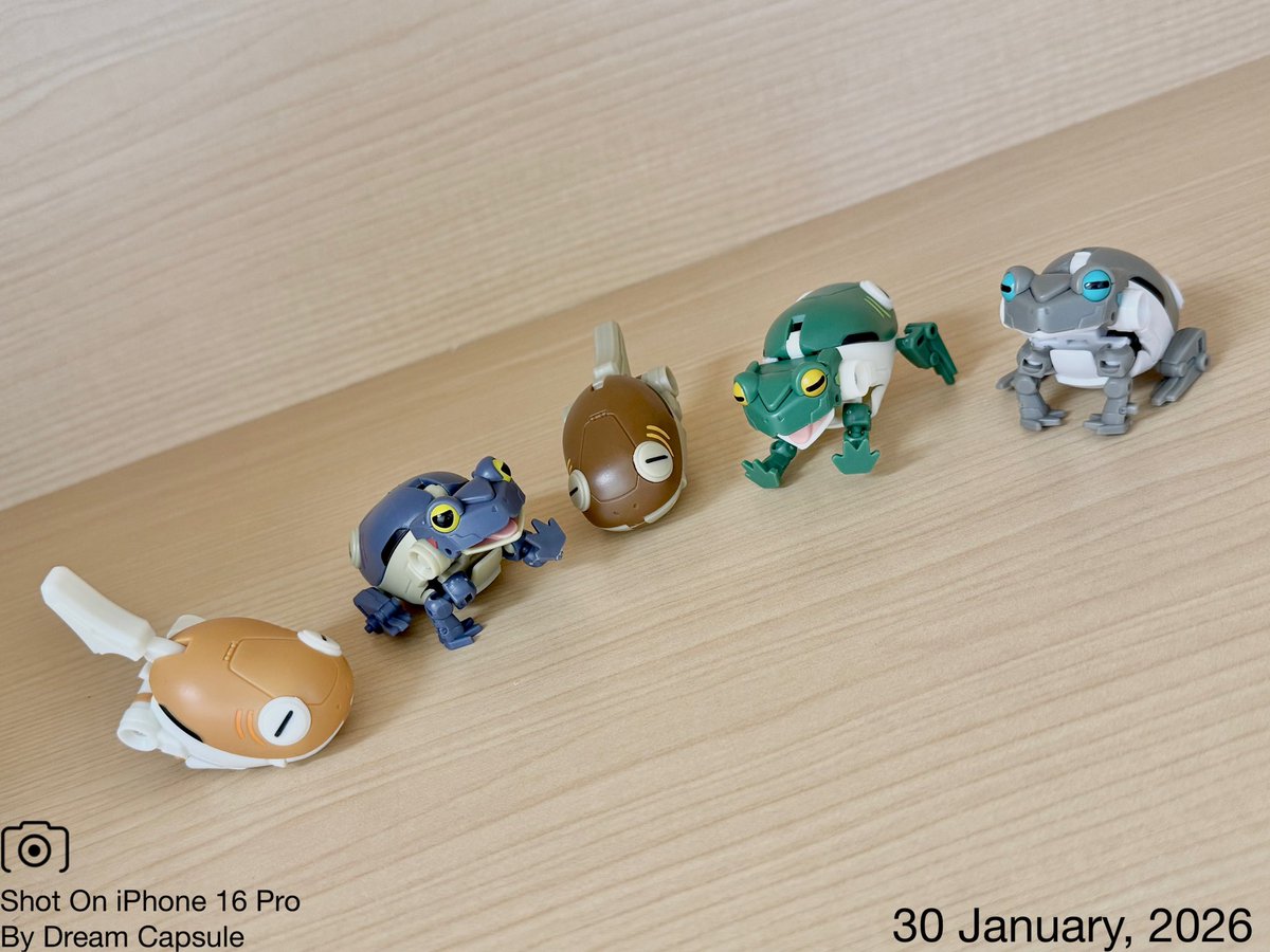 🌟新入荷ガチャ商品プレゼントCP🌟

カエルとオタマに完全変形！🐸
「たまケロ」

フォロー&amp;RP(RT)していただいた方の中から抽選で2名様に全5種セットをプレゼント🎁
ドリカプへの入荷日とキャンペーン詳細は↓

#ドリームカプセル #ガチャ専門店