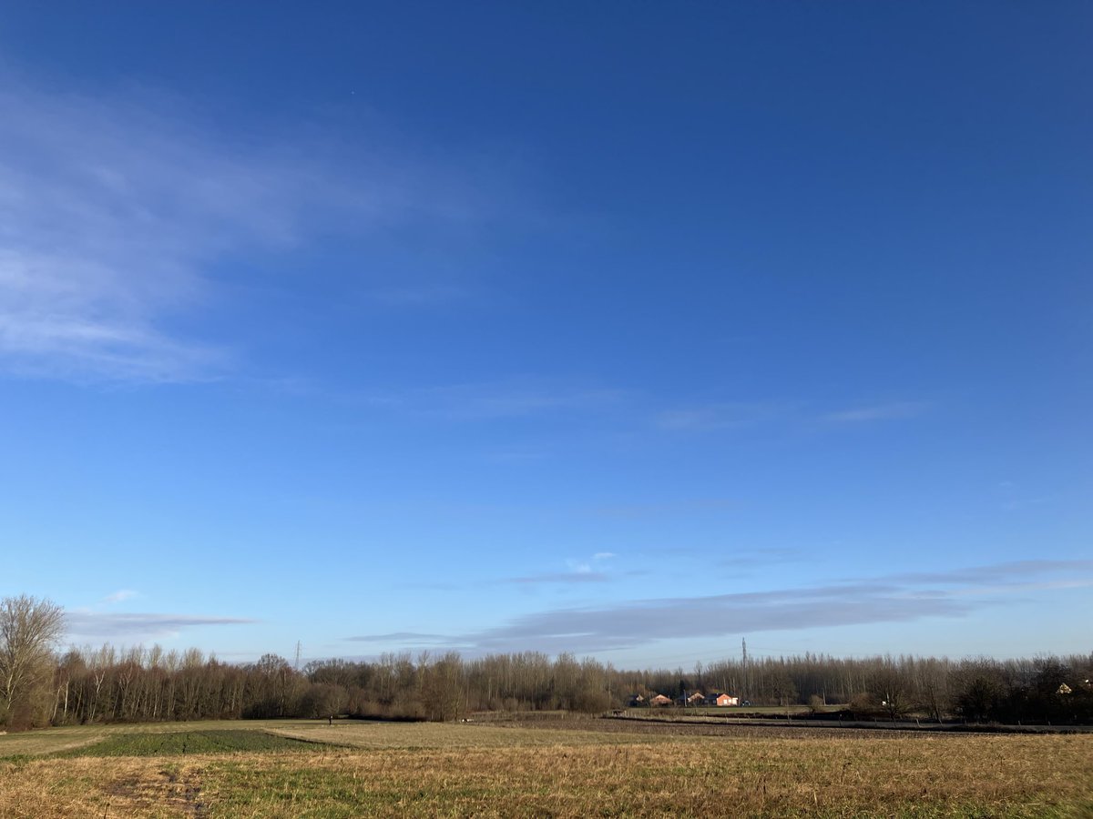 #vrtweer Holsbeek 9:50