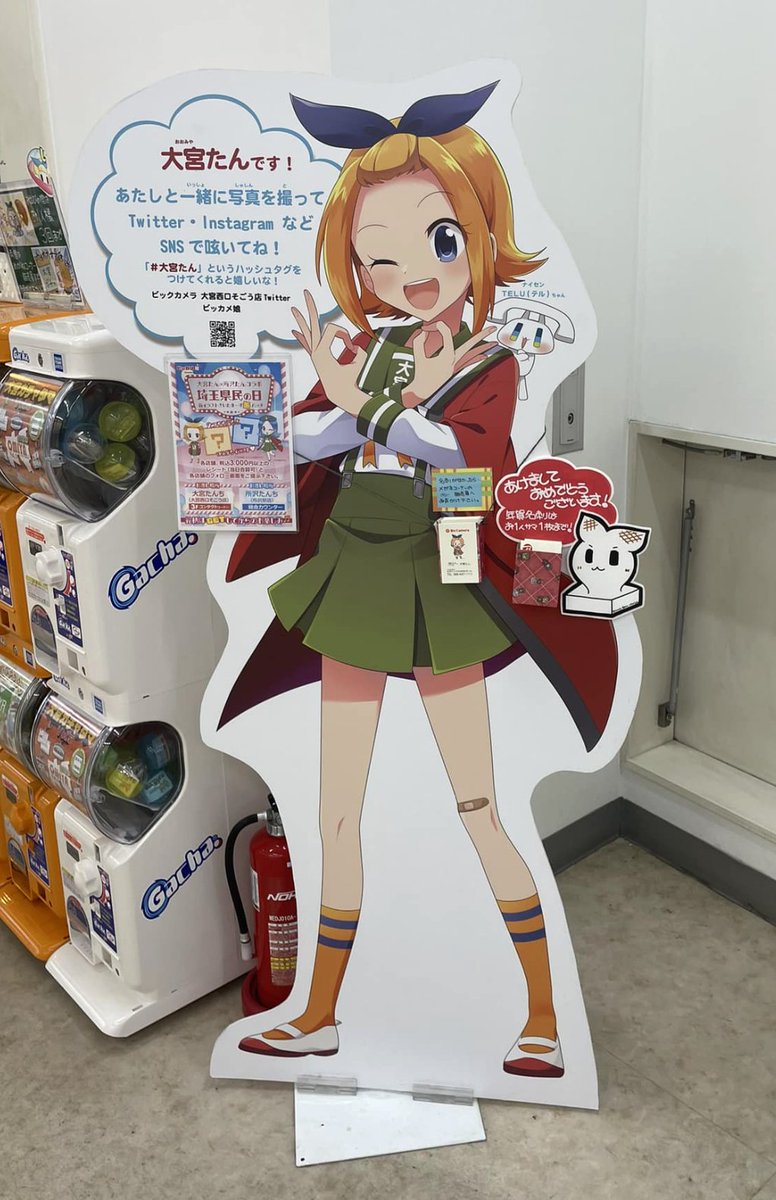 大宮たんの写真を時々みると思うんだが、やっぱりこの子めちゃくちゃかわいい
埼玉県では所沢の娘と並んで1位Tだな。