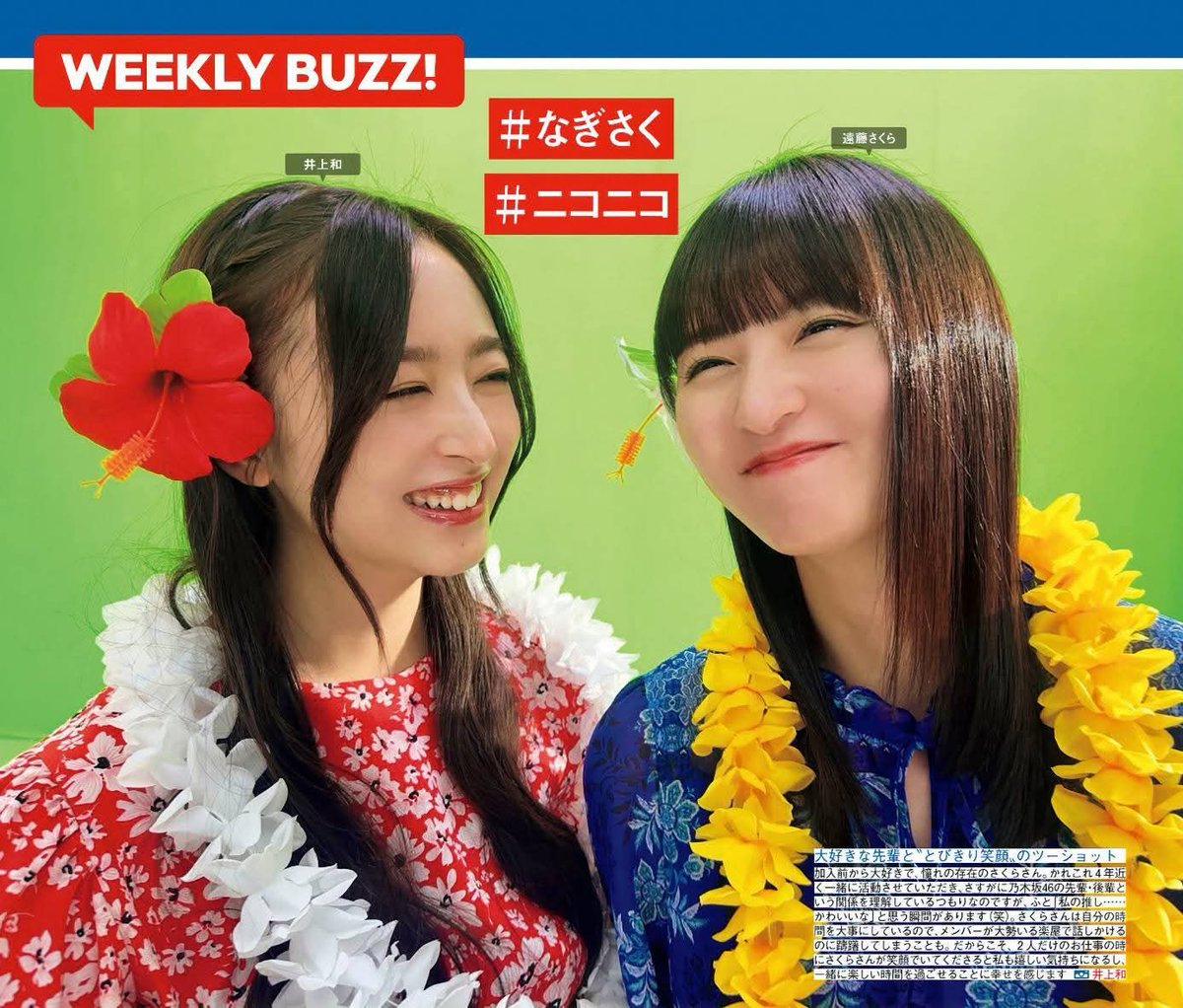 おひさま46 (@aE1FvyJygNSZ0Ds) on X