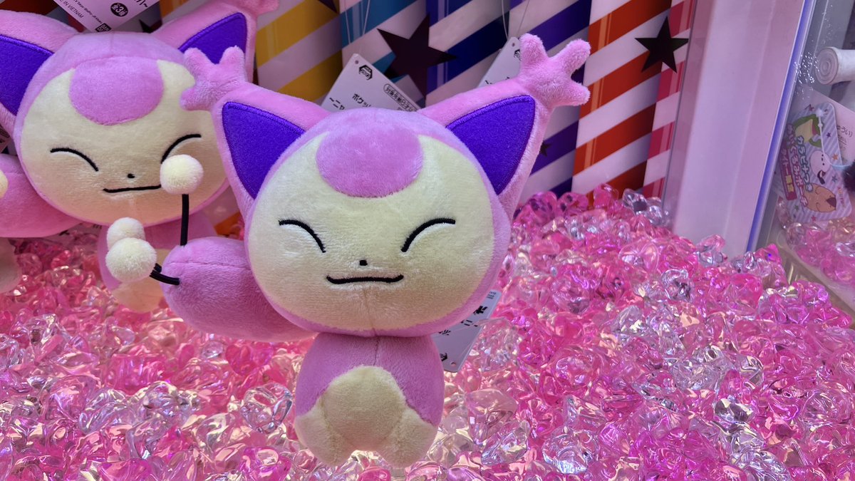 🐱新景品入荷情報🐱 #ポケットモンスター ぬいぐるみ ニャース、エネコ