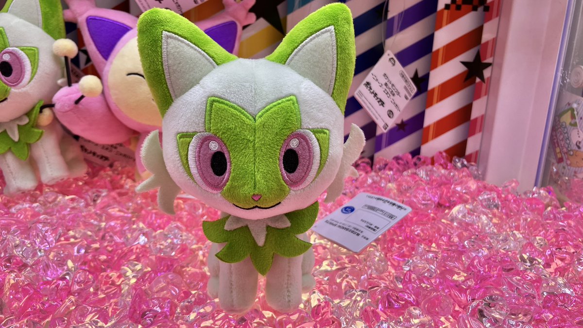 🐱新景品入荷情報🐱 #ポケットモンスター ぬいぐるみ ニャース、エネコ