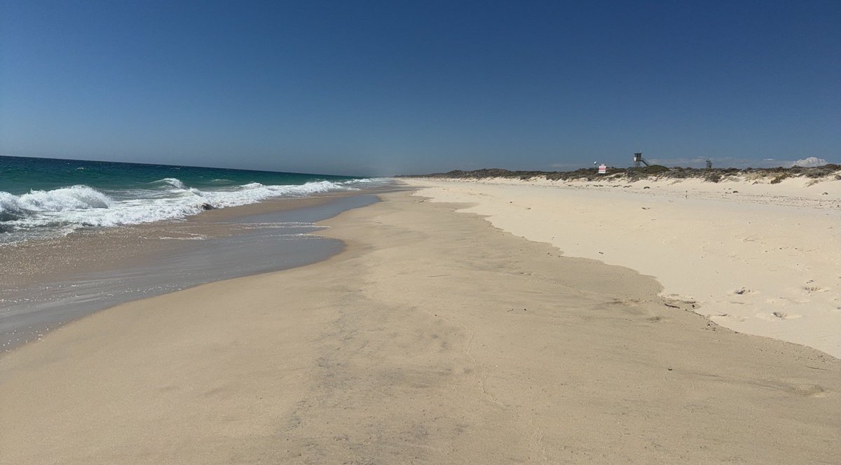 WApervert's tweet image. Back at the happy place