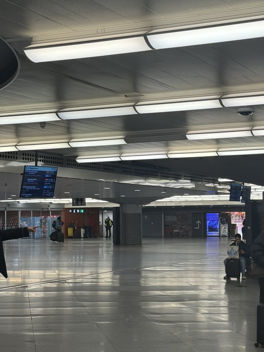 Tenía que coger el Ave a las 10.20 pero me lo han retrasado hasta las 11.27 y en el mostrador me dicen amablemente que ese tren no llegará a su destino hasta las 16.30 o 17.00 y que no me fíe de lo que ponga en la web. Los empleados me han dicho que todo es caótico y vergonzoso,