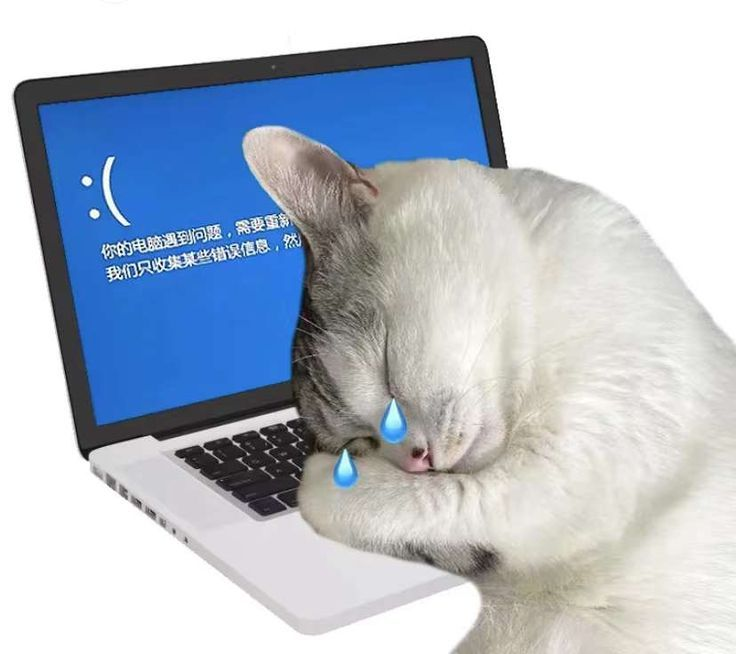 average windows experience