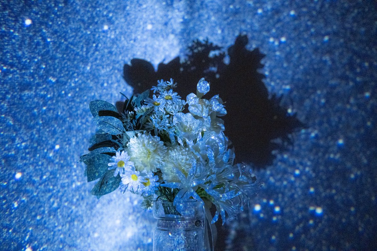 彷徨ってしまうから ひとりにしないでよね。