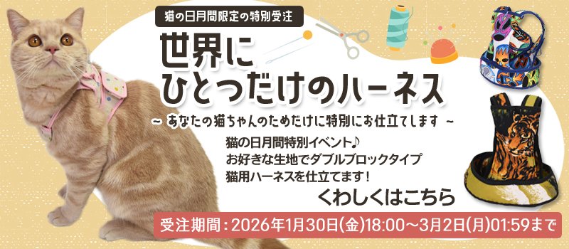 猫用品のゴロにゃん (@56nyan_com) / Posts / X