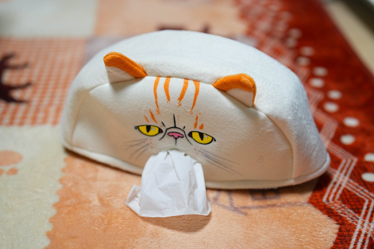 映画 機動戦士ガンダム 閃光のハサウェイ2を見てきました劇中登場の猫