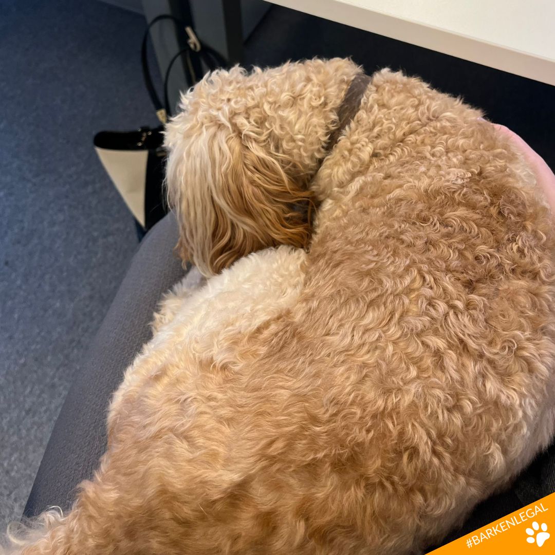 Arken.legal tweet media