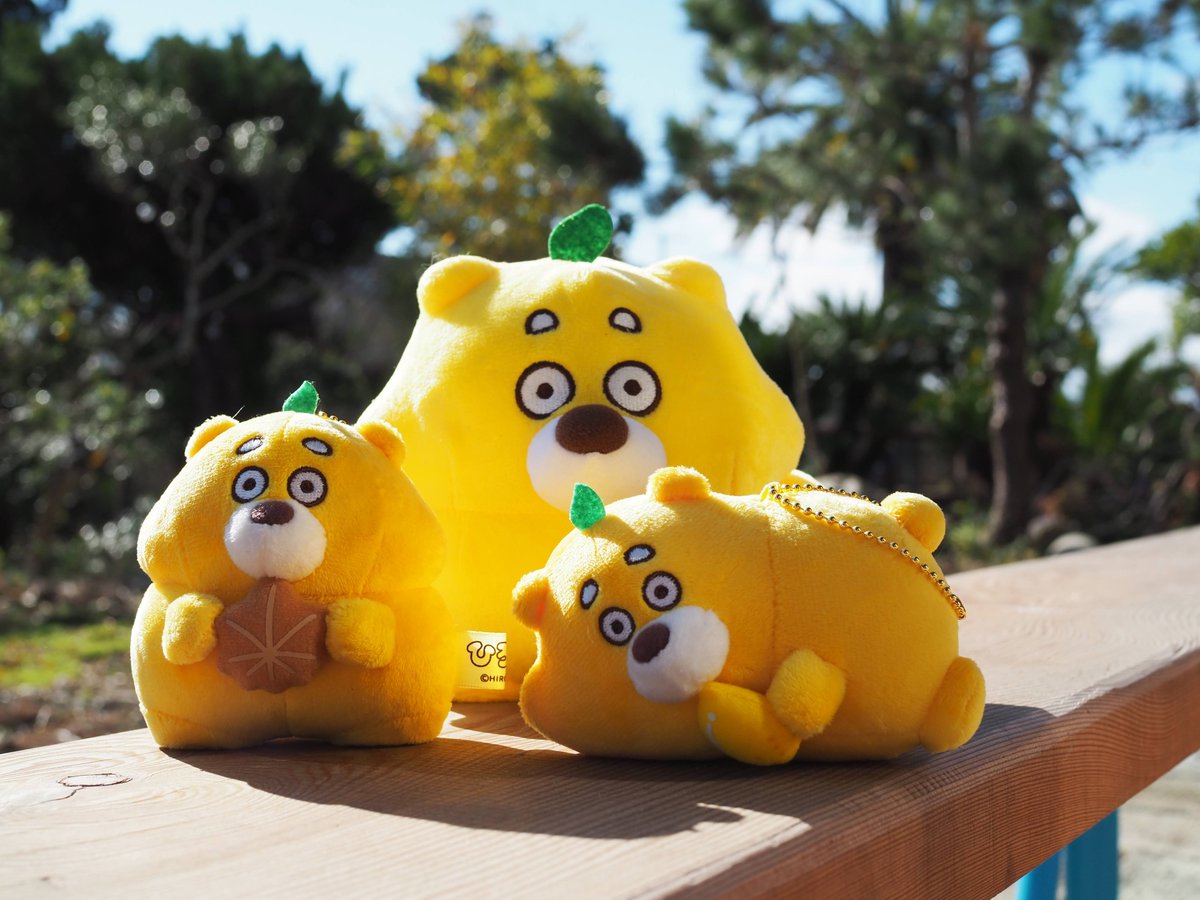 ひろくまからのお知らせ② ＼ たくさんのリクエストをいただいていた