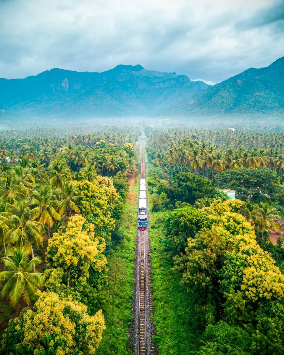 GMSRailway's tweet image. Beautiful views of the Nilgiri Mountain Railway🌿🚂

From the foothills upward, the train moves through the rack-and-pinion section during the monsoon, passing tea gardens, low clouds, and green hills that shape this unique journey.

#NMR #Heritage #Nilgiris #SouthernRailway