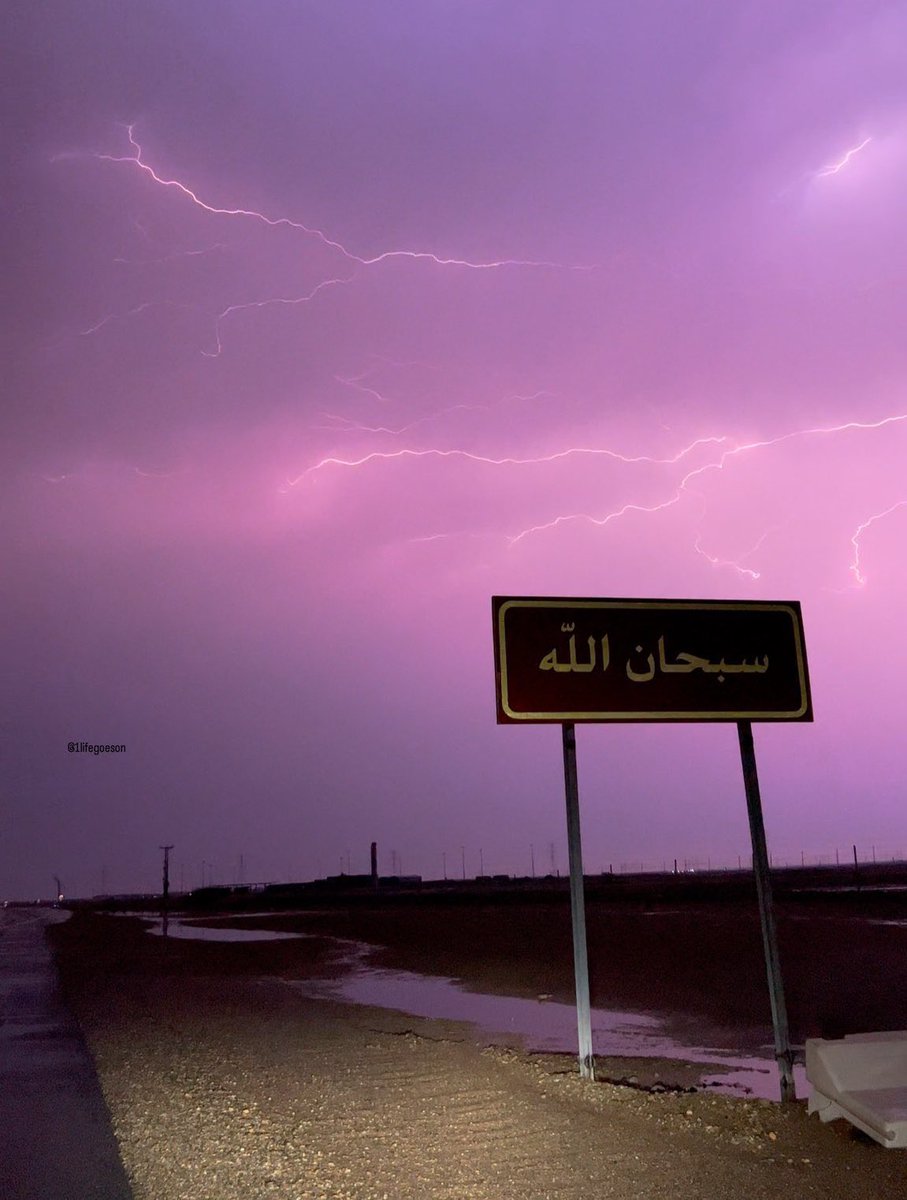 دِفء |🌿 tweet media