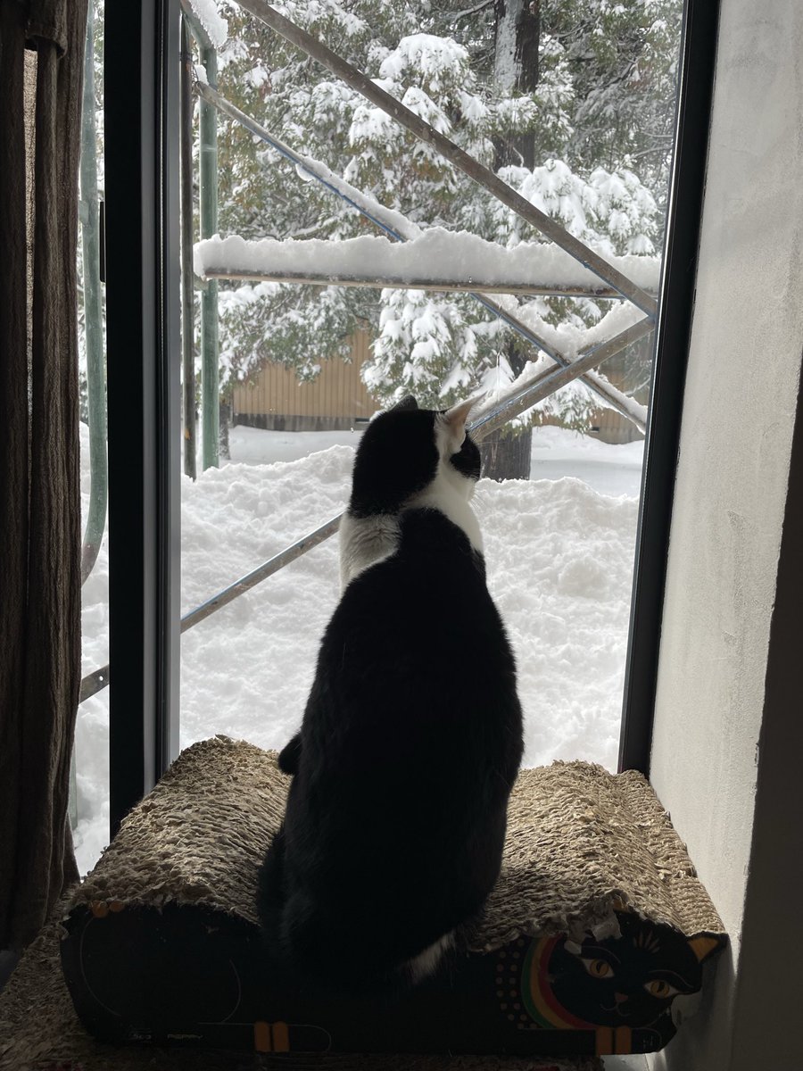 らいおん丸 (@lionmaru_046) / Posts / X