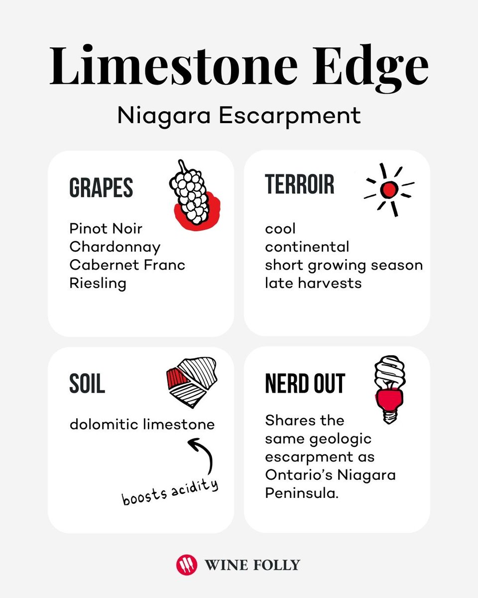 Wine Folly tweet media