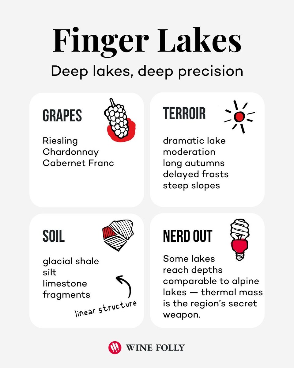 Wine Folly tweet media