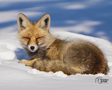 Emirhan Altun (@gezenadam0816) on Twitter photo 