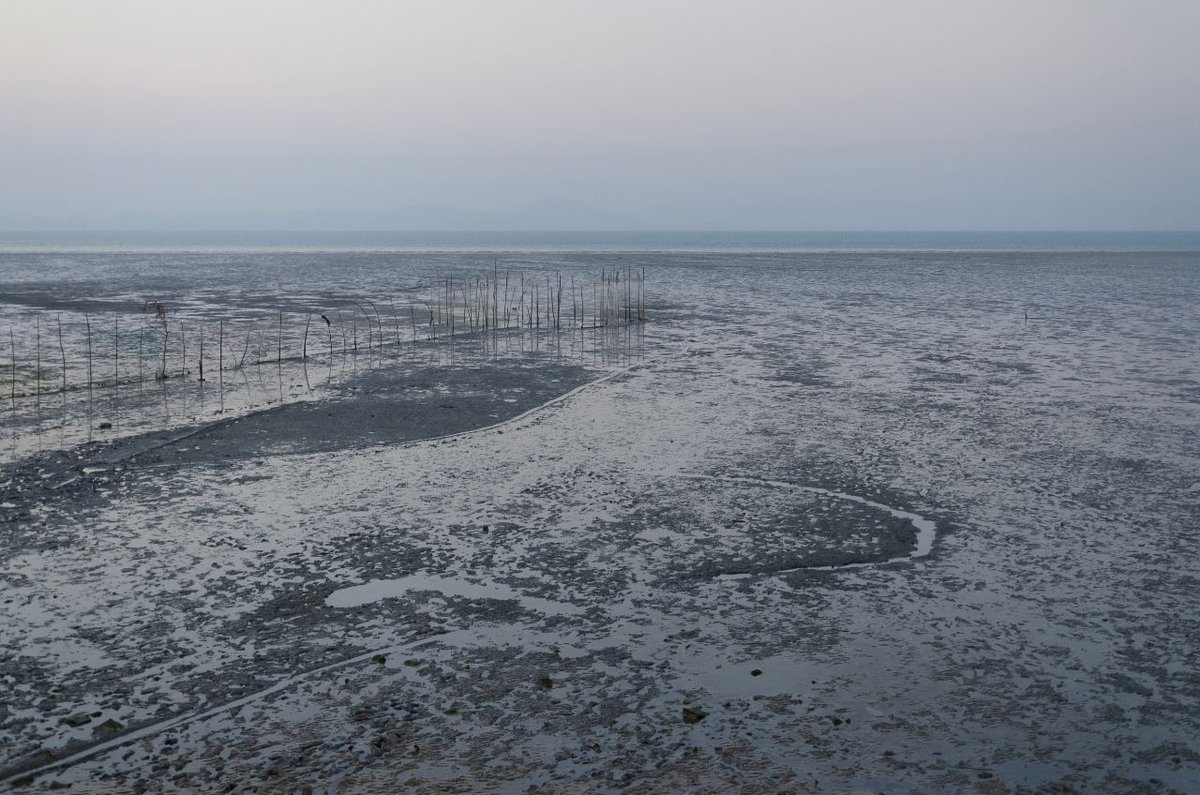 GM my fam 💜

My New drop on <a href="/_OpulenceX/">OpulenceX</a>

«Trace of Time on the Shore» 

The trace of time on the shore records moments that are unseen, yet undeniably present.

Year Created : 2024 
Location: Qeshm, Iran 

1/1
11 $XRP

nftmarketplace.opulencex.io/nft/00083A9873…
<a href="/MasterpieceXRPL/">Masterpiece</a> 
<a href="/Stake_N_Bake106/">Stake_N_Bake_Bully</a>
