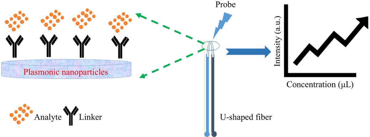 FoodAdvance1's tweet image. #FMR #fiberoptic #milkadulteration #fiber
Milk adulteration is a big problem. We need quick, cheap ways to detect it. This paper explores using U-shaped fiber optic sensors for this. 🥛🔍
@MaximumAcademic @FoodTechEvents @TezpurUniv
Details: maxapress.com/article/doi/10…